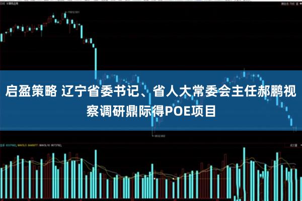 启盈策略 辽宁省委书记、省人大常委会主任郝鹏视察调研鼎际得POE项目