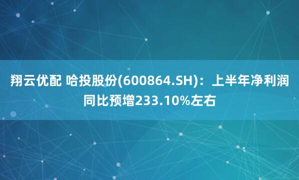 翔云优配 哈投股份(600864.SH)：上半年净利润同比预增233.10%左右